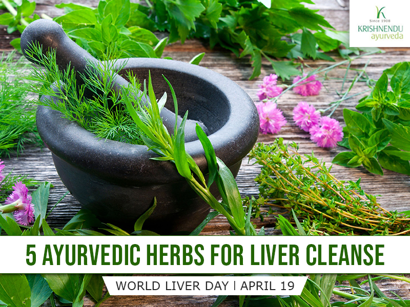 5 Ayurvedic Herbs For Liver Cleanse Krishnendu Ayurveda Hospital 