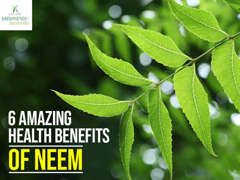 Read more about the article 6 Amazing Health Benefits Of Neem