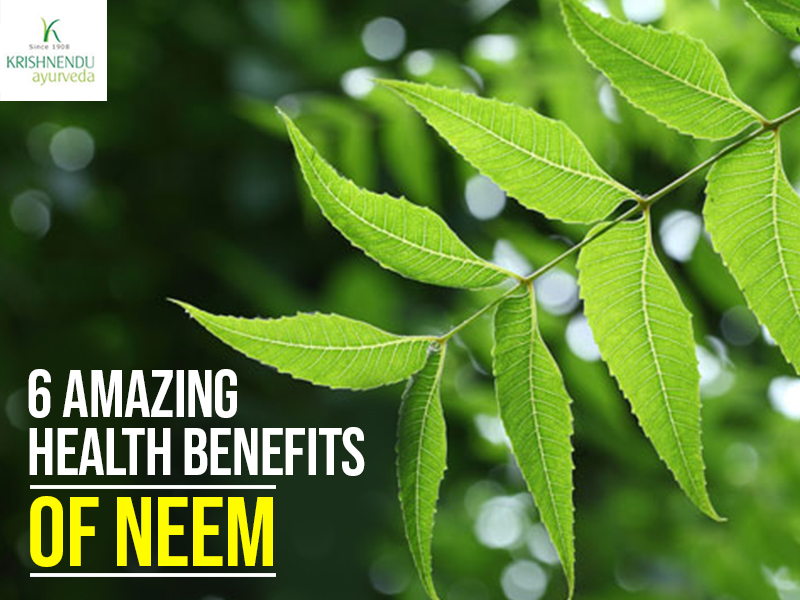 You are currently viewing 6 Amazing Health Benefits Of Neem
