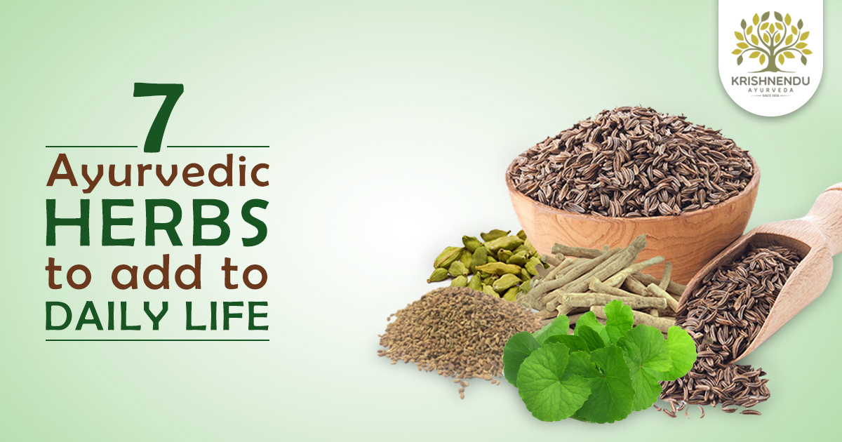 You are currently viewing 7 Ayurvedic herbs to add to daily life