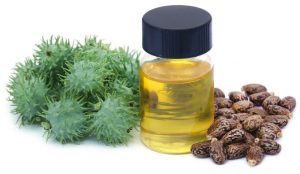 Health Benefits of Castor Oil in Ayurveda