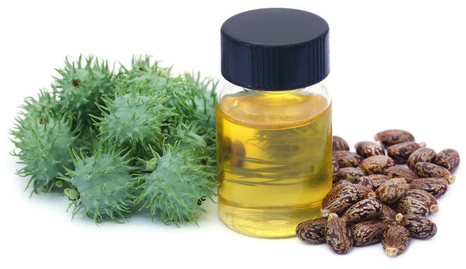 You are currently viewing 7 Health Benefits of Castor Oil