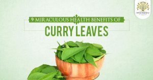 Ayurveda Benefits Curry Leaves